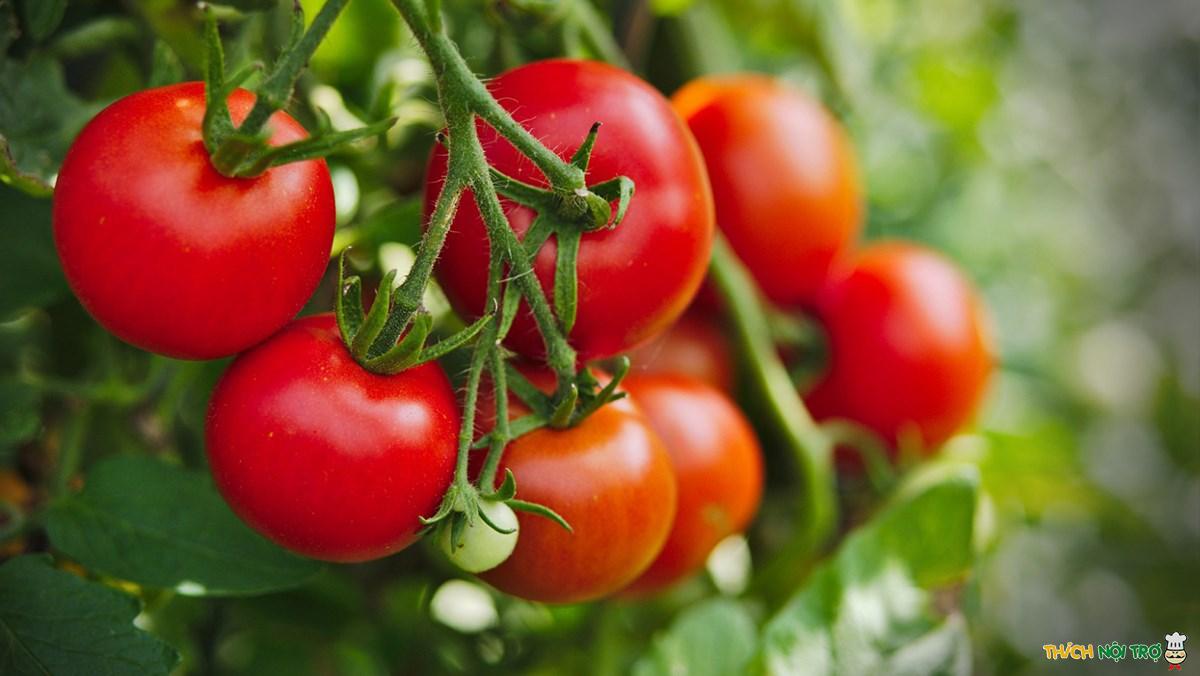 5 cách giảm cân bằng cà chua